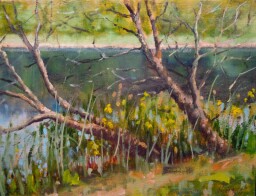 U Skaláku  30 x 40